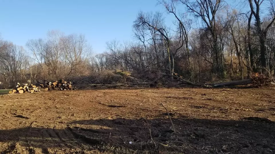 If you need a Site Cleared to begin construction of a building or other structure, or need Trees and Stumps removed from areas big or small, Romine Excavating & Septic based out of Hope, IN is your solution!