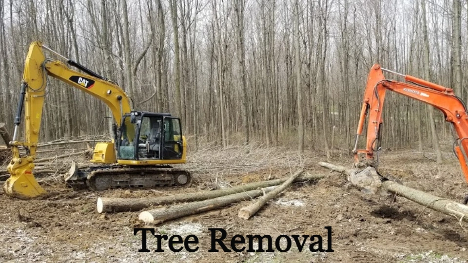 We are available with all of the equipment and trained personnel to clear out & remove trees and stumps today from all areas big or small!