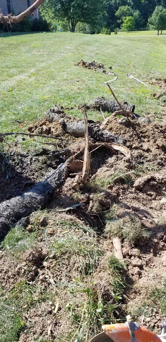 Successful projects completed by Romine Excavating & Septic based out of Hope, Indiana