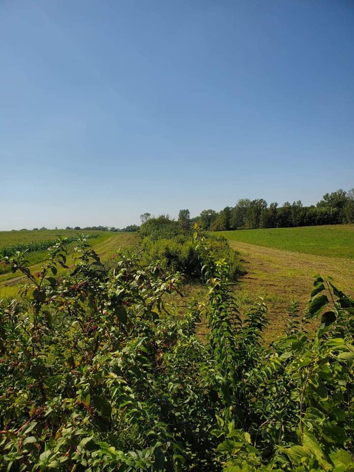 Successful projects completed by Romine Excavating & Septic based out of Hope, Indiana