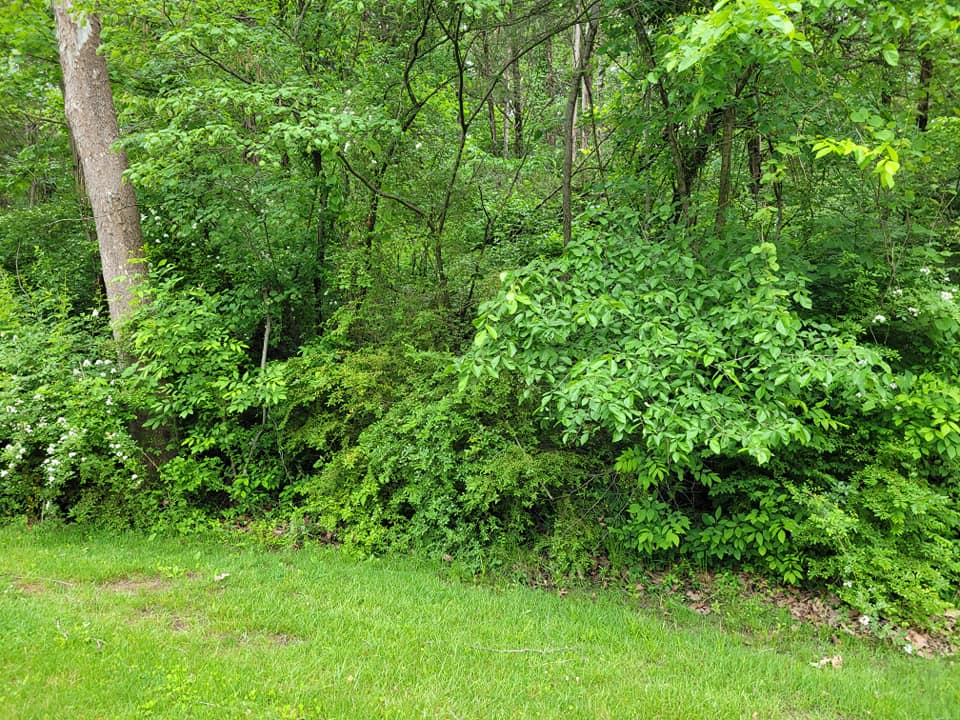 Successful projects completed by Romine Excavating & Septic based out of Hope, Indiana